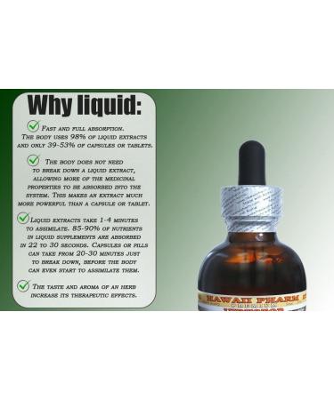 Organic Turmeric Alcohol-Free Liquid Extract | Curcuma Longa Dried Rhizome Glycerite | 2 oz | Pack of 1 - Buy Online on SooperMarket.com