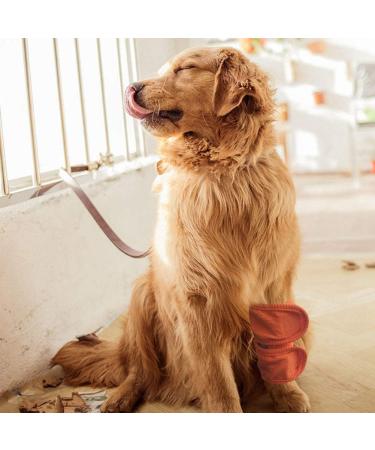 2Pcs Adjustable Dog Cat Leg Brace Elastic Warm Knee Pads for Surgery Wound Support and Stability for Injury Recovery Prevent Licking (Orange) - Buy Online on SooperMarket.com