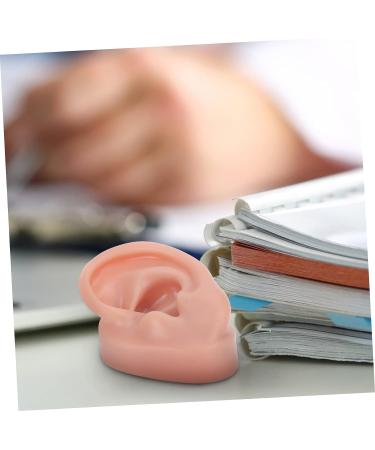 Beavorty 3 Pcs Human Ear Model Set | Silicone Ear Models for Studs | Simulation Piercing Ear Display Prop 6.5x3.5cm (Coffee, 3pcs) - Buy Online on SooperMarket.com