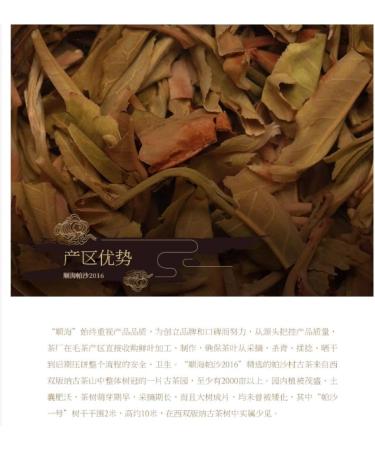Pu-erh tea 2016 Shunhai Ba Wai Cake Tea 357g Raw - Buy Online on SooperMarket.com