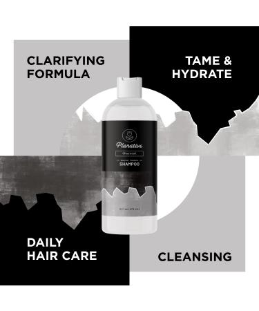 Activated Charcoal Shampoo for Oily Hair - Sulfate-Free Deep Cleansing for Scalp Detox & Greasy Hair - Clarifying & Moisturizing Formula - Buy Online on SooperMarket.com