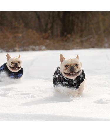 Winter Fabric Dog Sweater with Leash Ring - Plaid S | Warm Fleece Vest Pullover Jacket for Small Dogs and Cats - Buy Online on SooperMarket.com