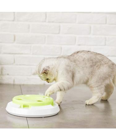 Pettom Interactive Cat Toy | Electric Butterfly Funny Exercise Toy for Kittens | Rotating Pop N Play Toy with Replacement Feathers | Green - Buy Online on SooperMarket.com