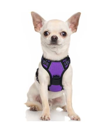 Rabbitgoo dog harness Small dog anti -train dishes dog with control no pull adjustable dog dishes large dogs breathable reflex stripes breast harness dog safe guidance purple XS XS (1 Pack) purple