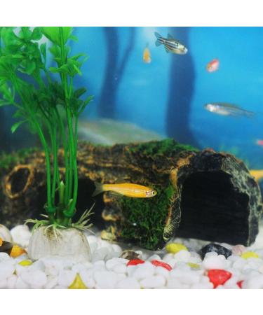 CTPENG 1 Piece Harz Cave Aquarium Decoration for Betta Fish | Synthetic Resin Artificial Wood Branch | Natural Look for Aquariums - Buy Online on SooperMarket.com