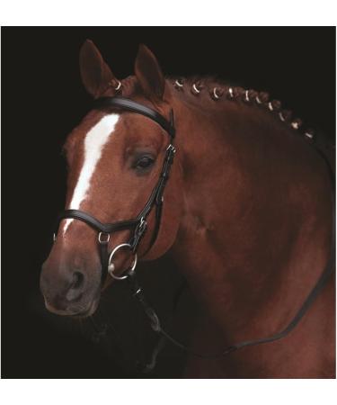 Ireland Rambo Micklem Competition Bridle - Black Large Horse - Premium Equestrian Gear for Global Shipping - Buy Online on SooperMarket.com