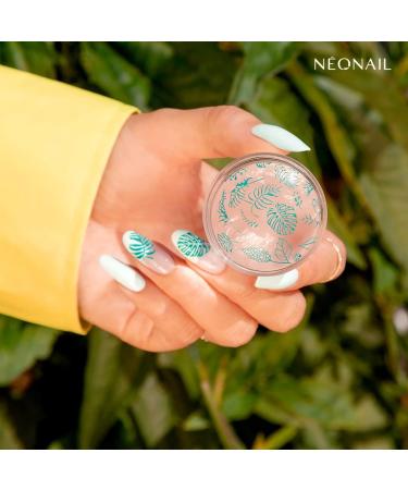 Neonail Stamping Plate 16 | Nail Art Stencil for Creative Designs | Perfect for French Nails | International Shipping Available - Buy Online on SooperMarket.com