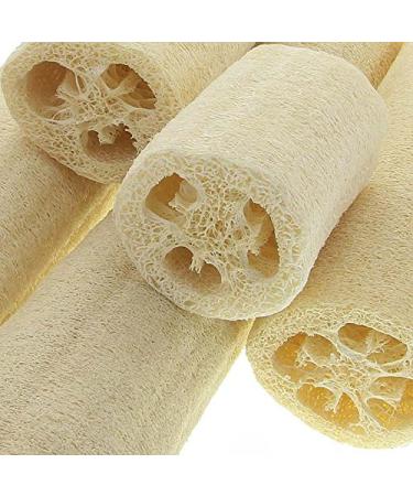 Buy Kosmetex Luffa Cucumber Sponge - Natural Fiber Bath & Shower Sponge 34 cm | Eco-Friendly Exfoliating Body Cleanser - International Shipping Available - Buy Online on SooperMarket.com