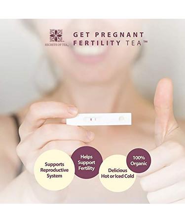 Organic Fertility Tea with Chasteberry & Red Raspberry Leaf | Aid Conception, Ovulation, Menstrual Cycles | 40 Cups, 1 Pack - Buy Online on SooperMarket.com