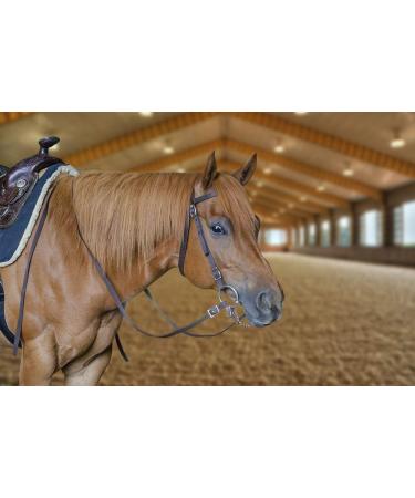 Tahoe Tack Double Layer Nylon Headstall with Reins - Variety of Colors & Sizes - Buy Online on SooperMarket.com
