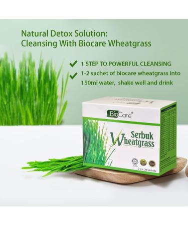 2x boxes of 30 sachets of 2 g of wheat grass - Buy Online on SooperMarket.com