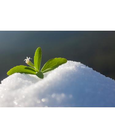 Zerocal Stevia 1:1 - Natural Sugar Substitute for Healthy Living | Shop Internationally - Buy Online on SooperMarket.com