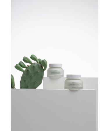 Cactus Oasis Cream | Organic Vegan Moisturizer | Natural Skin Barrier with Tamanu Oil & Ceramide | Hydrating Skincare for Women & Men | 1.69 Oz - Buy Online on SooperMarket.com