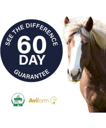 Aviform Suppleaze Ultraflex (1Kg) 1.00 kg (Pack of 1) - Buy Online on SooperMarket.com