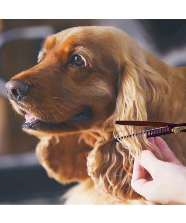 Professional Purple Dragon Pet Grooming Scissor Set - Japan 440C Stainless Steel Chunker Shear for Pet Groomers and DIY - 7.0/8.0 inch Hair Cutting Scissor + 6.75/8.0 inch Dog Shear - Buy Online on SooperMarket.com