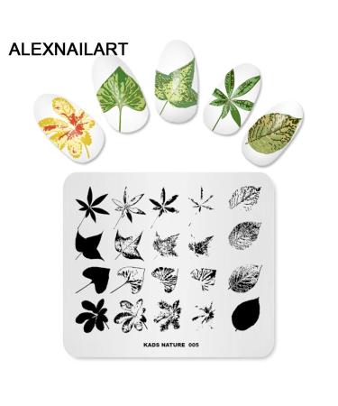 Nail Stamping Plate Set - 4 Piece Feather Flower Leaves & Butterfly Templates | DIY Nail Art Tool & Stamper | International Shipping - Buy Online on SooperMarket.com