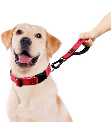 PLUTUS PET Strong Training Dog Lead with Rock Climing Carabiner Clip Relective Nylon Dog leash Padded Handle Training Lead for Large and Medium Dogs(25cm Red) 25 cm (Pack of 1) Red - Buy Online on SooperMarket.com