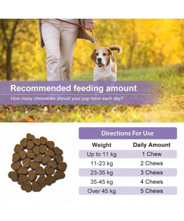 Petsy Skin & Coat Supplement for Dogs - Vitamin C, E, Zinc, Biotin, Omega 3 - Supports Healthy & Shiny Coat, Rejuvenates Skin, Natural Relief for Itchy Skin - Daily Use - Buy Online on SooperMarket.com