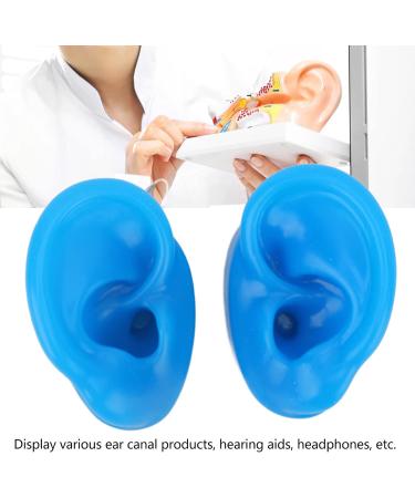 Simulated Silicone Ear Display Mould for Piercing Practice - Soft & Flexible (Large) - Buy Online on SooperMarket.com