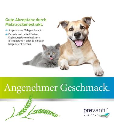 Elanco PREVANTIL Vital Cure for Dogs & Cats | 50 ml Supplementary Feed with Cactus Fig Extract - Stress Relief & Practical Dosing Aid - Buy Online on SooperMarket.com