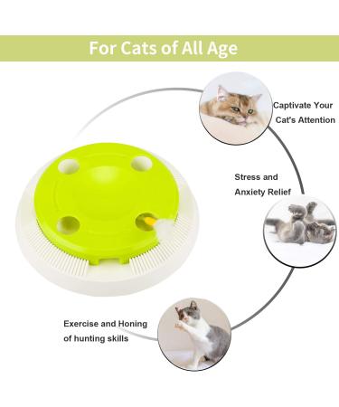 Pettom Interactive Cat Toy | Electric Butterfly Funny Exercise Toy for Kittens | Rotating Pop N Play Toy with Replacement Feathers | Green - Buy Online on SooperMarket.com