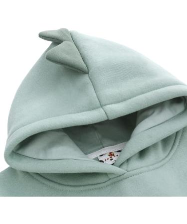Famuka Little Kids Dinosaur Hoodie Toddler Boy Girl Sweatshirt - Unisex Casual Tops (Green, 9 Months) - Buy Online on SooperMarket.com