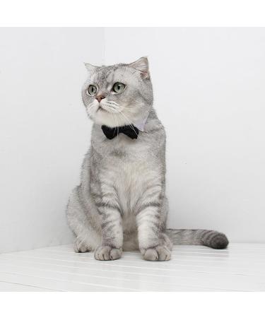 Buy SUNTRADE Adjustable Formal Pet Bow Tie for Dogs & Cats - Wedding Costume (Small Black) - International Shipping Available - Buy Online on SooperMarket.com