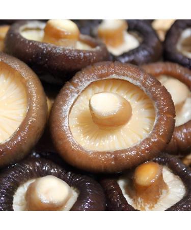 Dried Shiitake Mushrooms - Premium Grade, Soft Texture, Natural Grown, No Fumigation, 6 oz - Buy Online on SooperMarket.com