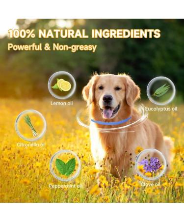 Repellent Collars for Dogs Repellent Collar for Dogs Adjustable Water Resistant repellent Collar Dog Natural Dog repellent Collars for Puppies Small Medium Large Dogs Blue 2pack - Buy Online on SooperMarket.com