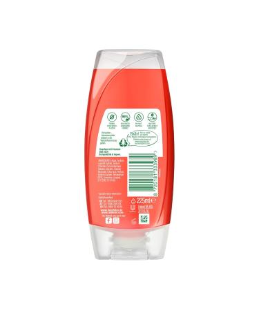 Duschdas Shower Gel Orange Ginger - 6 Pack (225 ml Each) | Refreshing Daily Shower Bath with Energizing Fragrance - Buy Online on SooperMarket.com