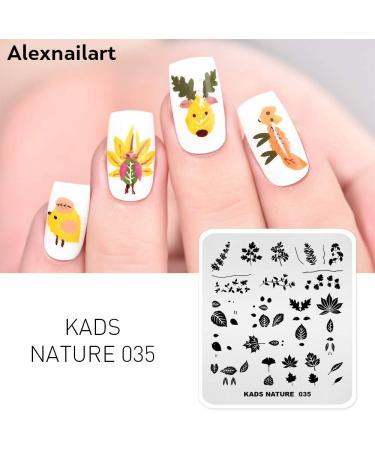 Alexnailart Nail Art Stamping Plates Image Template Nature Plant Leaf Pattern Design Stamper Nail Art DIY Print Manicure Nail Art Stencil Tools NA035 - Buy Online on SooperMarket.com
