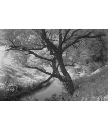 Hoya 82mm R72 Infrared Glass Filter for Superior Photography Results - Buy Online on SooperMarket.com