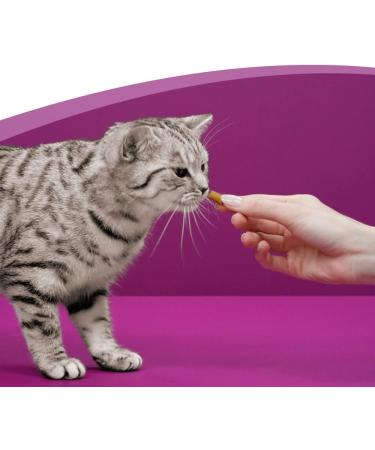 Whiskas Dentabites Cat Snack - Chicken Flavor (Pack of 8 x 40g) - International Shipping Available - Buy Online on SooperMarket.com