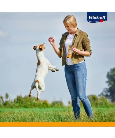 Vita Force Boony Bits: Sugar-Free Grain-Free Training Treats for Small Dogs | 6x55g Healthy Rewards - Buy Online on SooperMarket.com