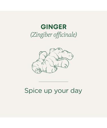 Traditional Medicinals - Organic Ginger Herbal Tea (Pack of 6) - Pleasantly Spicy & Warming - 96 Tea Bags Total Tea Ginger 16 Count (Pack of 6) - Buy Online on SooperMarket.com