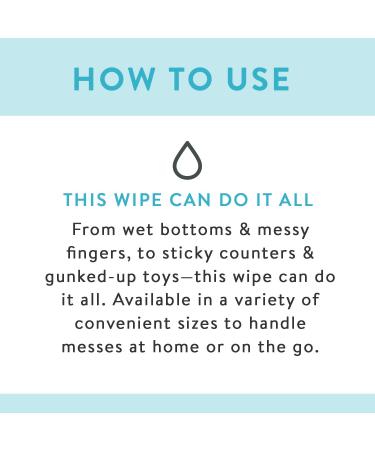 Honest Company Baby Wipes - Fragrance Free & Classic Scent, 10 Count (Pack of 1) - Buy Online on SooperMarket.com