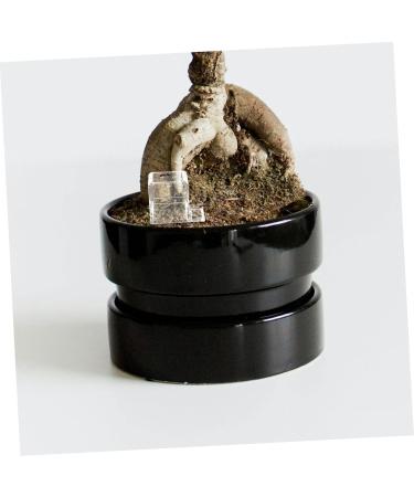 BESPORTBLE Pet Water Feeder Insect Water Bowl Clear Ants Feeder Ants Farm Accessory Ants Watering Cup Plastic - Buy Online on SooperMarket.com