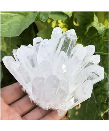 1pc Natural Crystals Clear Quartz Cluster Freeform Reiki Stones Room Home Office Aquarium Decoration Accessories Gemstone Home Collections (Size : 400-450g) - Buy Online on SooperMarket.com