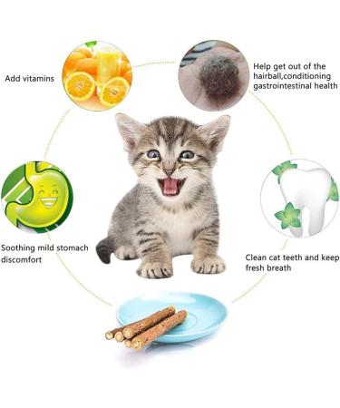 tiopeia 30 PCS Cat Catnip Sticks Natural Matatabi Chew Sticks as Dental Treat Teeth Grinding Chew Toys for Cat Kitten Kitty - Buy Online on SooperMarket.com