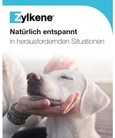 Vetoquinol Zylkene Chews 450 mg (14 Chews) - Calming Solutions for Pets | Buy Internationally - Buy Online on SooperMarket.com