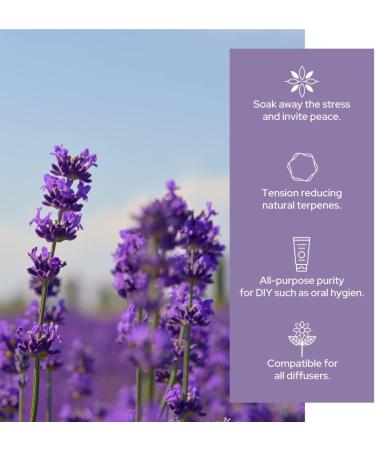 Plant of Life Essential Oil - 100% Pure and Natural - Therapeutic Grade Essential Oil with Dropper (Lavender 2 oz (60mL)) - Buy Online on SooperMarket.com