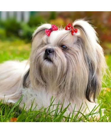 Leeq Dog Hair Grinding Accessories - Pet Bowknot Hair Rope with Rubber Band for Long-Haired Dogs & Cats - 20 Random Color Packs - Buy Online on SooperMarket.com