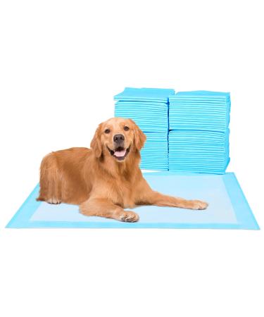Fluffydream Superabsorbing waterproof training pad for dogs and puppies housebreaking pet pad 40-piece m blue M 60x60cm 40-piece