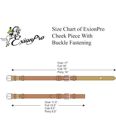 ExionPro Oak Brown Bridle with Buckle Closure (16mm) - Replacement Cheek Piece for Pony Size (Small) | International Shipping Available - Buy Online on SooperMarket.com