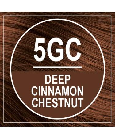 Naturtint 5GC Deep Cinnamon Chestnut Hair Color - Ammonia-Free, Vegan, Cruelty-Free | 100% Gray Coverage, Long-Lasting Results - Buy Online on SooperMarket.com