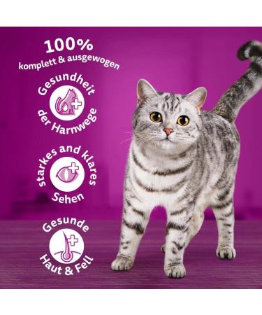 Buy Whiskas Adult 1+ Dry Cat Food - Beef 5x800g Packs | Premium Drying Cat Food for Adults - Various Packaging Options - Buy Online on SooperMarket.com