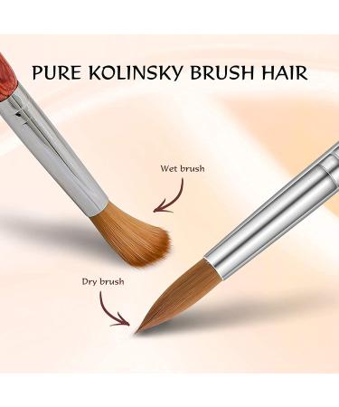 Aokitec Sable Kolinsky Nail Brush #18 - Professional Acrylic Brush for Nail Art & Manicure Tools - Buy Online on SooperMarket.com