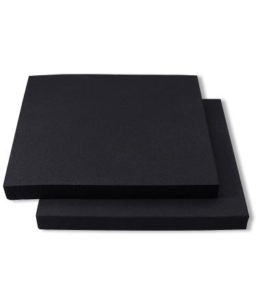 Holstex Thermoform Molding Foams Brand - for Kydex Holster & Sheath Making - USA Made - (2 Pack) Maxx Form (8x12x1)(2)