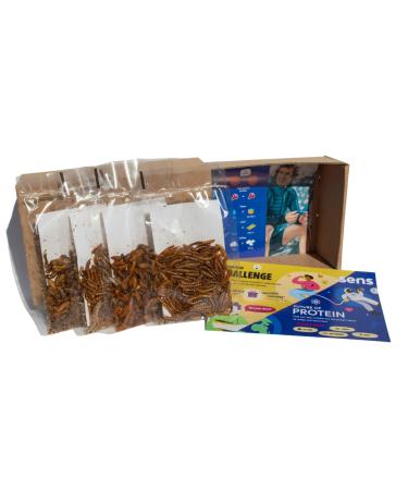 Sensible insects snack for people roasted grilling and mealworm protein snack crunchy party mix insect food tried party challenge gift idea grilling and worms try set