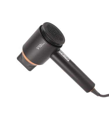 Ion Blow Dryer High Speed Ionic Hair Dryer Portable Constant Temperature Control Professonal Blow Dryers Fast Drying High Speed Hair Dryer for Home Travel (US Plug 100-240V 110V)